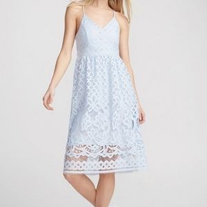 SM NWT A-Line Lace Dress